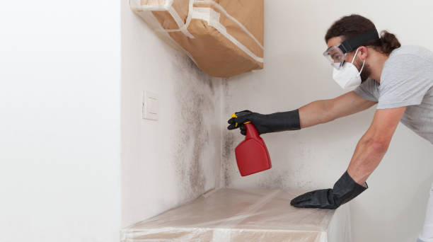 Professional Attic Mold Removal technician working in Interlochen, MI