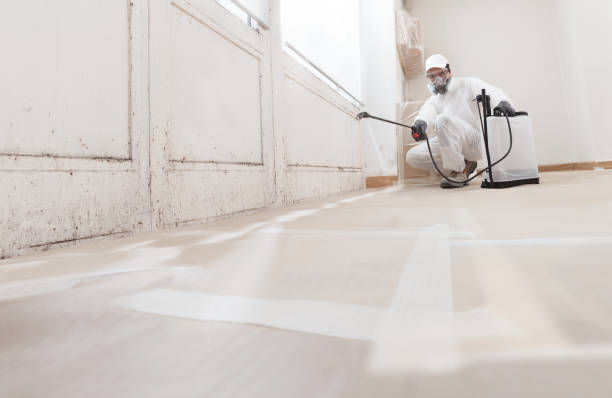 24/7 Emergency Attic Mold Removal experts in Interlochen, MI